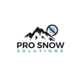 Pro Snow Solutions - Langley Snow Removal