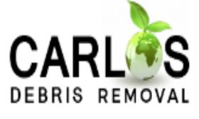 Debris Removal Hollywood FL - Carlos