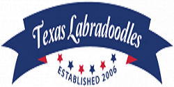 Texas Labradoodles
