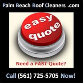 Palm Beach Roof Cleaners