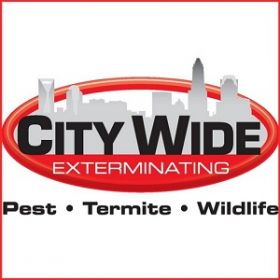 City Wide Exterminating