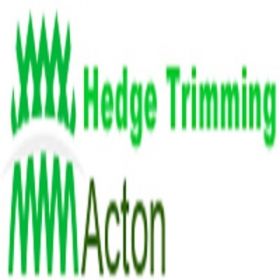 Hedge Trimming Acton