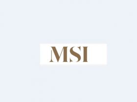 M S International, Inc