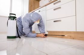 Monster Pest Control