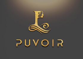 Puvoir LLC