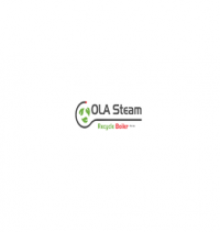 Ola Steam Boiler Manufactuerers in India