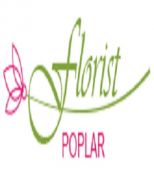 Florist Poplar