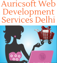 Auricsoft Delhi - Ecommerce Web Development