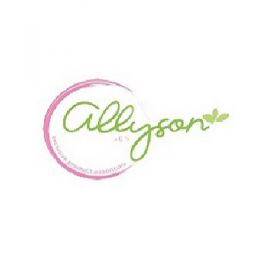 Allyson Enterprises Inc.