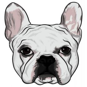 Bulldog Plumbers Fort Lauderdale