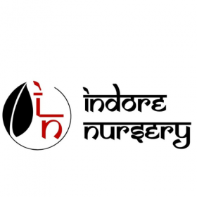 IndoreNursery