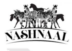 Nashnaal Group LLC