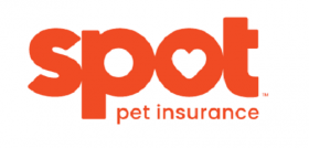 Spot Pet Insurance