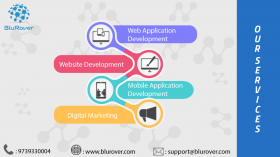 BluRover Software Technology Services