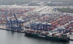 Queen Roja International