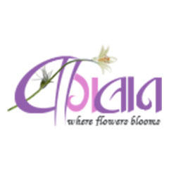 Baghban Florist