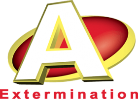 A-Extermination Montréal