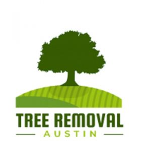 Tree Removal Austin