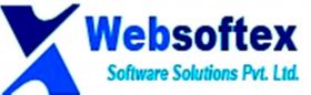 Websoftex Software Solutions Pvt Ltd