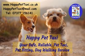 Happy Pet Taxi
