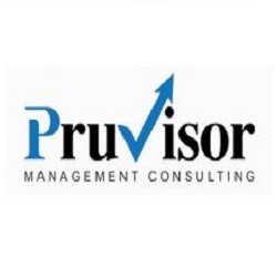 PruVisor Management Consulting