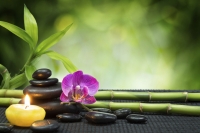 Pearl spa Body massage