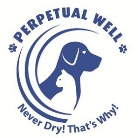 Perpetual Well