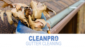 Clean Pro Gutter Cleaning Humble