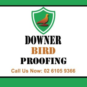 Downer Bird Proofing