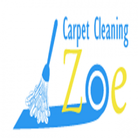 professional cleaning company