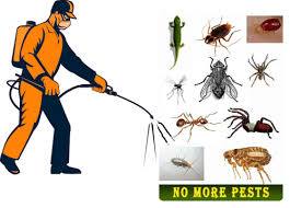 Rex - Pest Control Services