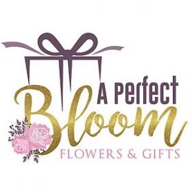 A Perfect Bloom Memphis