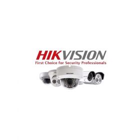 Hangzhou Hikvision Digital Technology Co