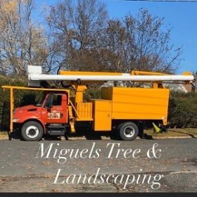 Miguels Tree & Landscaping