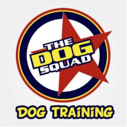 Dog Squad Dog Training