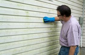 Fullwood Mold Experts