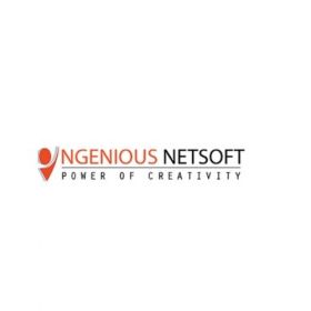 Ingenious Netsoft Private Limited