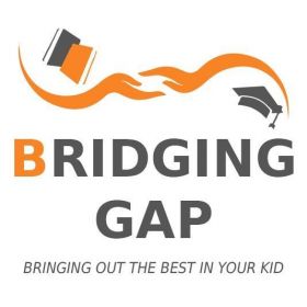Bridging Gap USA