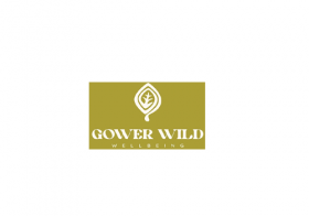 Gower Wild Wellbeing