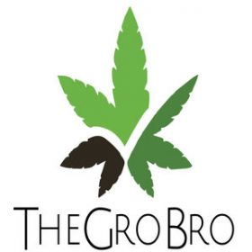 TheGroBro