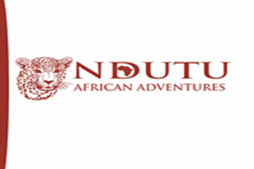 Ndutu African expeditions 