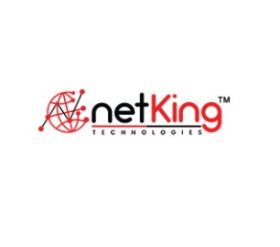 https://www.netkingtechnologies.com/