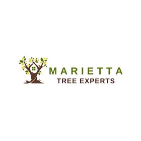 Marietta Tree Experts