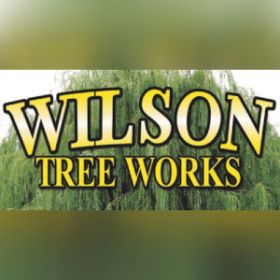 Wilson Tree Works
