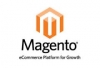 Magento Experts