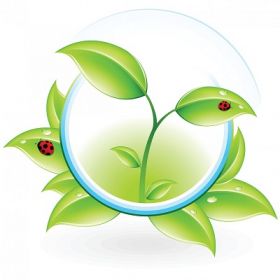 Charlotte Irrigation Systems