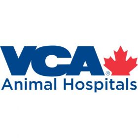 VCA Canada Calgary Trail Animal Hospital
