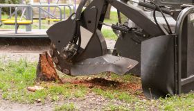 Nottingham Stump Grinding