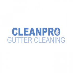 Clean Pro Gutter Cleaning Fairfax