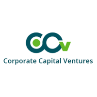 CCVIndia – Corporate Capital Ventures Pvt. Ltd.